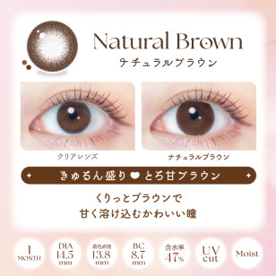 EverColor1month – Natural Brown 月拋 每盒2片